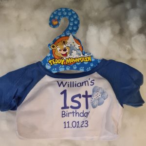Personalised Teddy Bear T-Shirts for boys